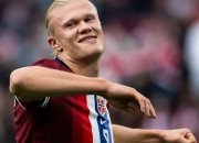 AYX- 哈兰德战绩 