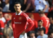 爱游戏体育-关于赛地聚焦——法国杯赛后热度飙升，曼联更衣室发声，更衣室稳定，年轻球员得到机会的信息